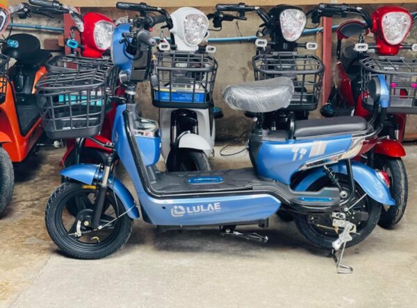 Ebike (Copy)