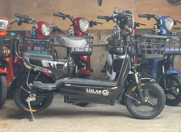 Ebike (Copy) - Image 4