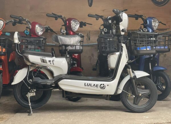 Ebike (Copy) - Image 5